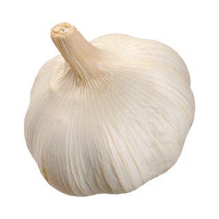 Estratto di bulbo d'aglio